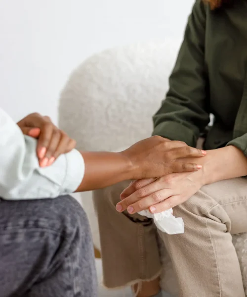 Mental,Support,To,Hold,Hands,,Handshake.,An,African-american,Female,Psychologist
